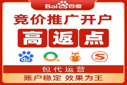 SEM搜索引擎优化：成功案例解析